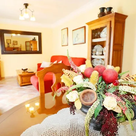 Сasa de vacaciones Casa Sandra Spainsunrentals 1165 Nerja
